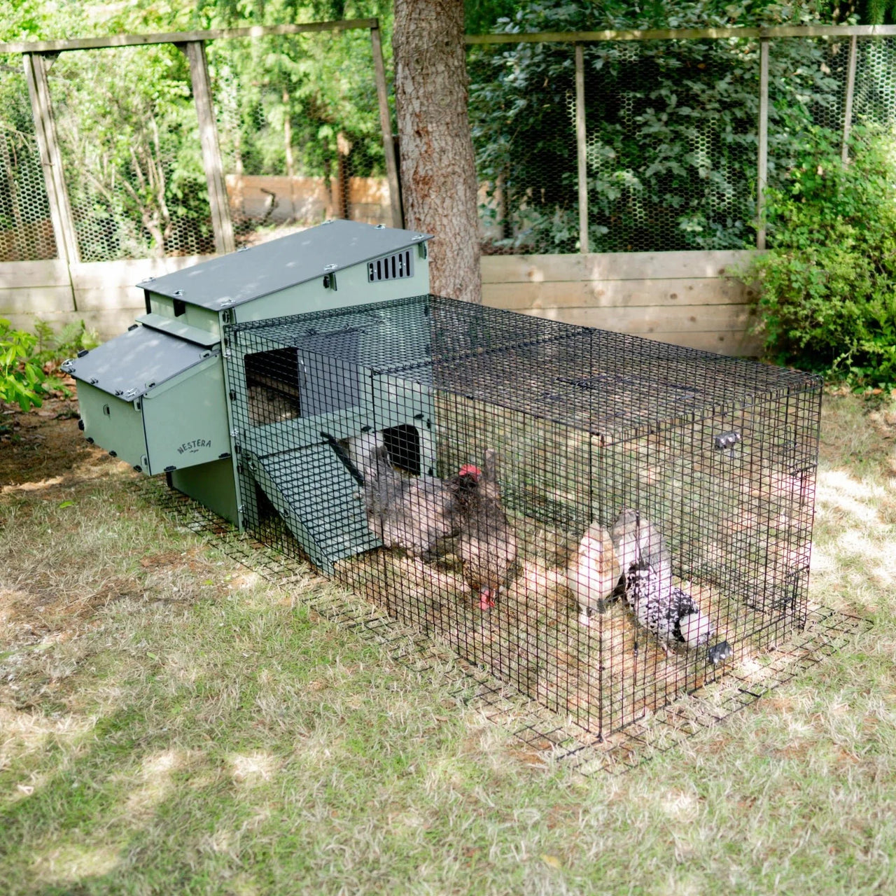 Nestera Aspen 10 Chicken coop for up to 10 Large Birds (Delivery Only)