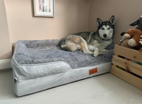 Thumbnail for The Belgravia Orthopaedic Dog Sofa™ - Xl