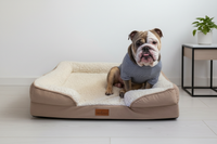 Thumbnail for The Belgravia Orthopaedic Dog Sofa™ - Large